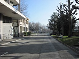 FribBov_01.JPG