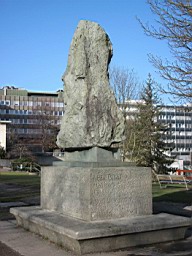 FribBov_18.JPG
