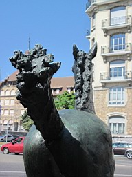 FohlenGE_Probst_24.JPG