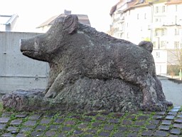 OltenEb_06.JPG