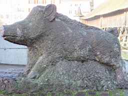 OltenEb_07.JPG