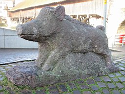 OltenEb_09.JPG