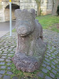 OltenEb_12.JPG
