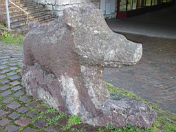 OltenEb_15.JPG