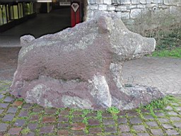 OltenEb_17.JPG