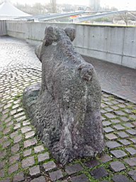 OltenEb_25.JPG
