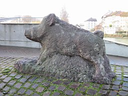 OltenEb_29.JPG
