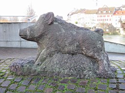 OltenEb_30.JPG