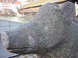 OltenEb_34.JPG