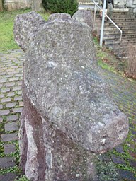 OltenEb_38.JPG