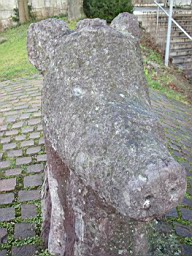 OltenEb_39.JPG