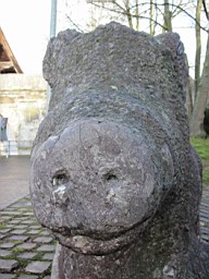 OltenEb_43.JPG