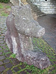 OltenEb_47.JPG