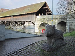 OltenEb_50.JPG