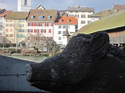 OltenEb_53.JPG