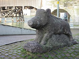 OltenEb_56.JPG