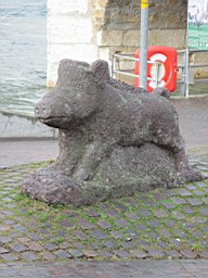 OltenEb_60.JPG