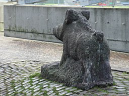 OltenEb_66.JPG