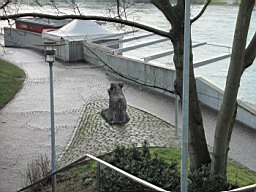 OltenEb_70.JPG