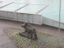 OltenEb_71.JPG