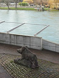 OltenEb_72.JPG