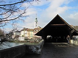 OltenEb_85.JPG