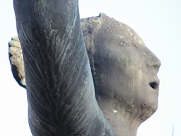 PrattElek_65.JPG