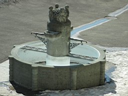 Wald_Schul_030.JPG