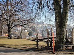 Wald_Schul_172.JPG