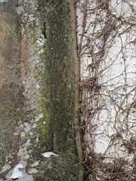 Winter2_Kirch_45.JPG