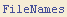 FileNames
