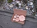 Bilder/DaniKeramik_03.JPG