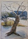 Bilder/WinterGelegenheitAquarell.jpg
