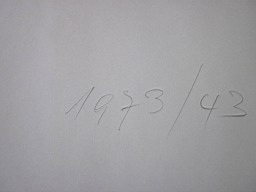 Bilder/FD_Abstr_a_031.JPG