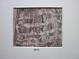 Bilder/FD_Abstr_a_051.JPG