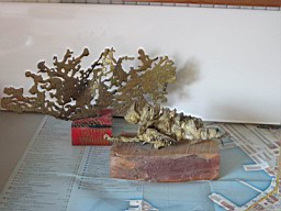 Bilder/FrAndere_04.JPG