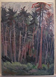 Bilder/FrLandS_005.JPG
