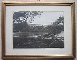 Bilder/Robert_01.JPG
