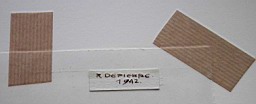 Bilder/Robert_05.JPG