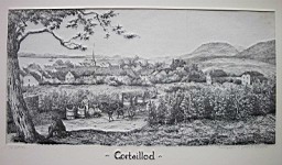 Bilder/Robert_14.JPG