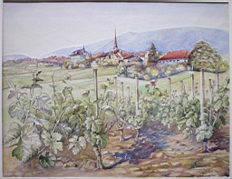 Bilder/Robert_20.JPG