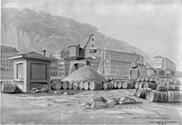 Bilder/Robert_30.jpg