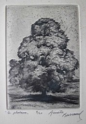 Bilder/Z_BaumAB01.jpg